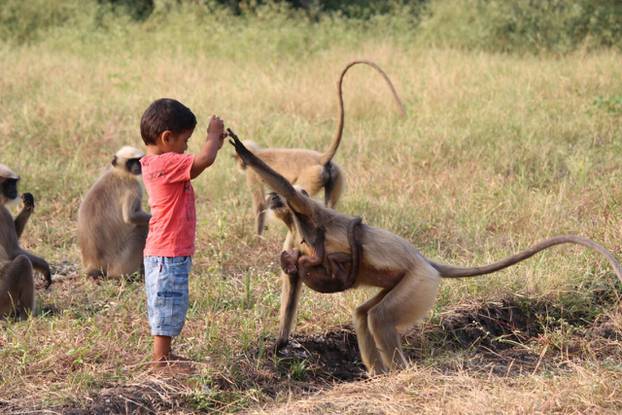 TODDLER BEFRIENDS MONKEY TRIBE