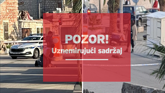 Psihijatricu terete da je policiji vikala da su ubojice, ona tvrdi: 'Samo sam poljubila psa'