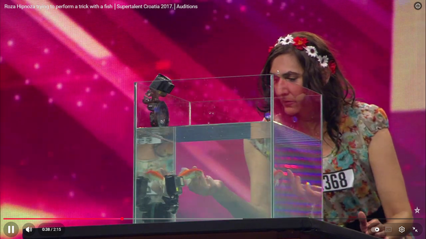 Sjećate li se Kitassa i drugih bizarnih točaka iz Supertalenta?