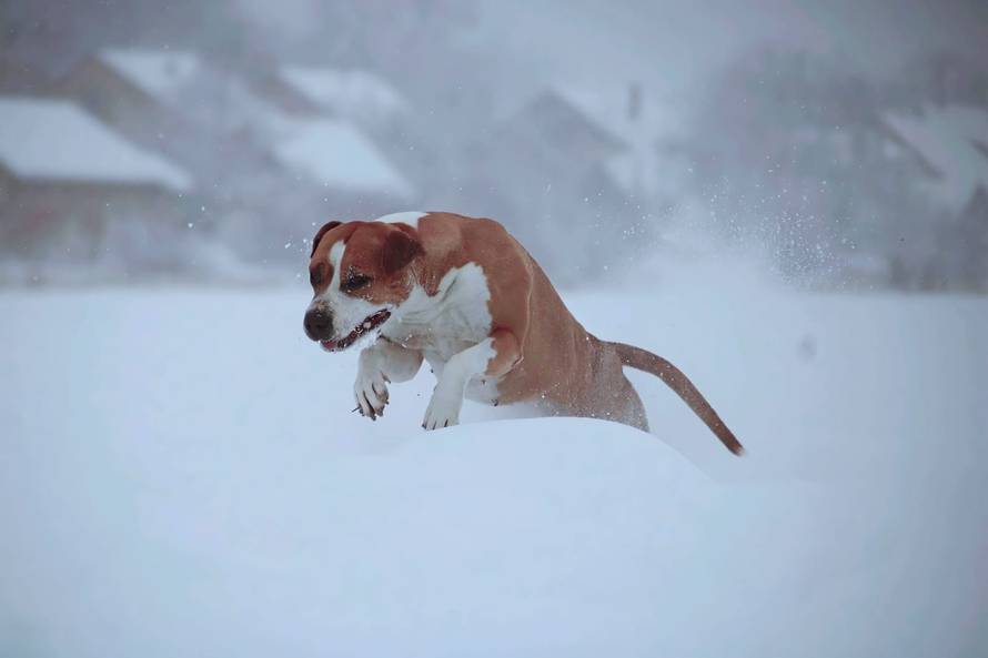 Općinska komunalka sama 'izlopatala' snijeg sa staze: 'Nema nikakve drame u tome'