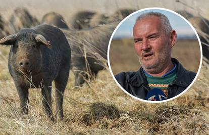 Lovci Miodragu ubili tri svinje: 'Ovo me sad bacilo na početak'