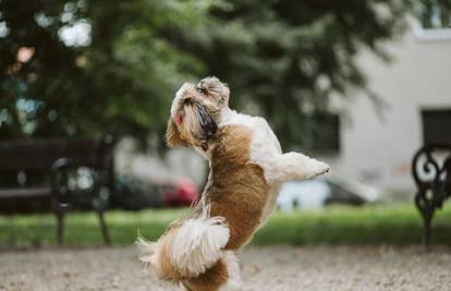 Od skloništa do vlastitog salona: Dirljiva priča koja stoji iza MEGI salona