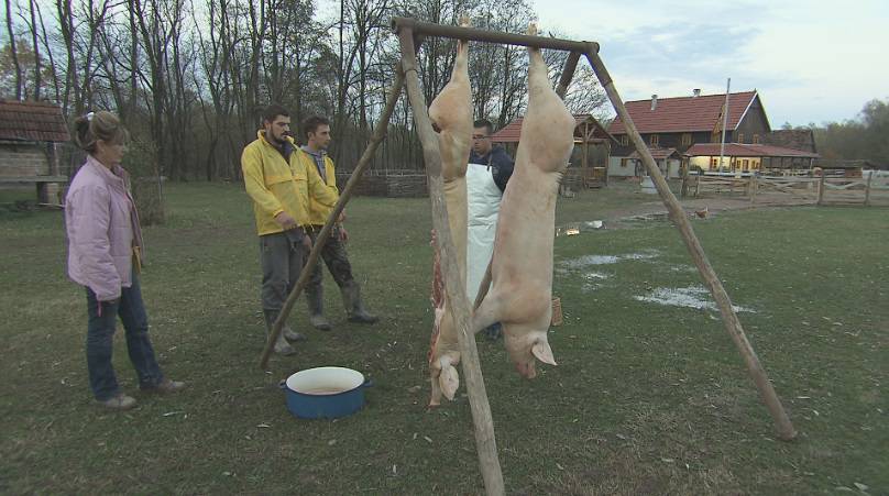 'Veselo' je na imanju: Goran, Josipa i Ante planiraju bojkot