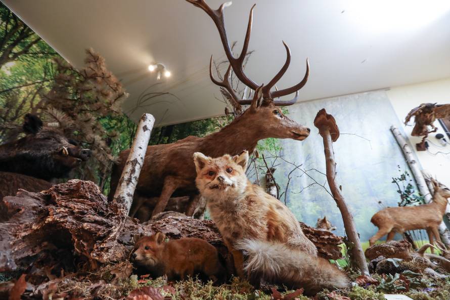 24SATA Izložba "100 godina hrvatskog lovstva" u Lovačkom muzeju