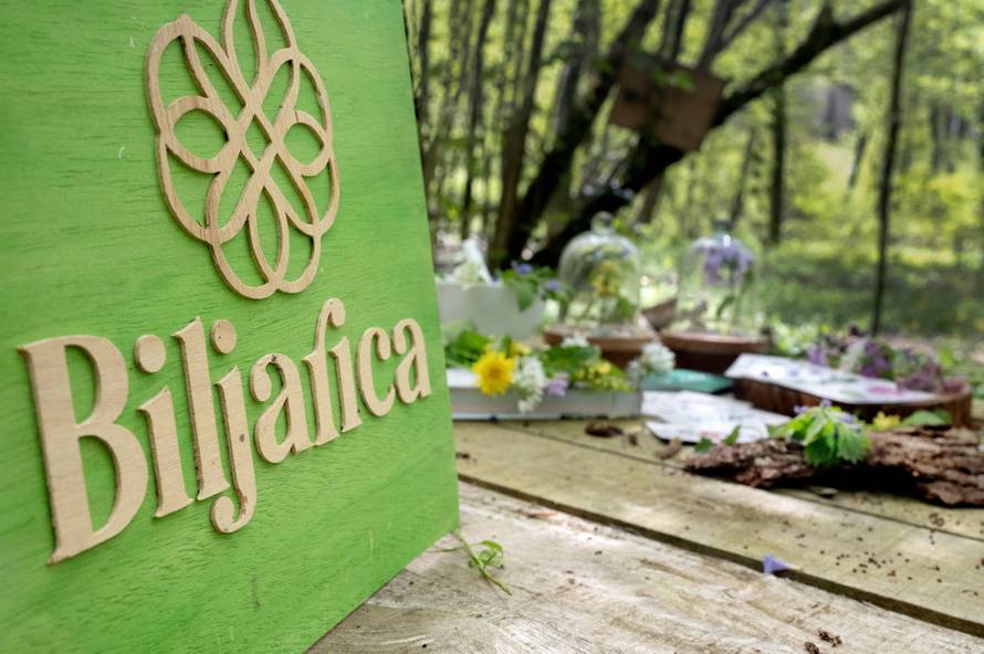 Otkrivamo zašto sve više kupaca bira Biljarica krute šampone i regeneratore