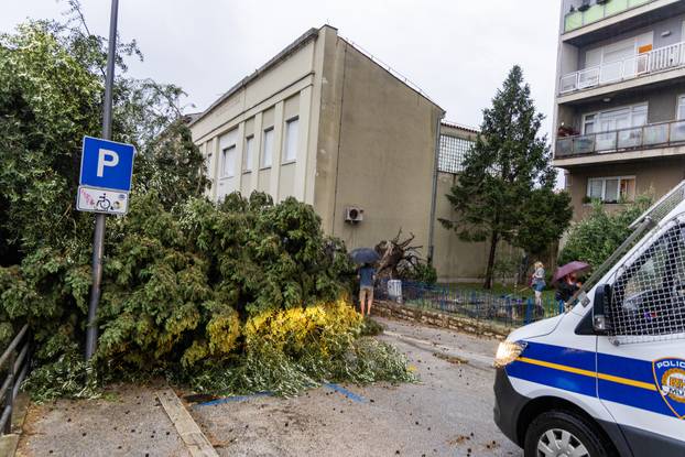 Olujno nevrijeme rušilo stabla u Puli