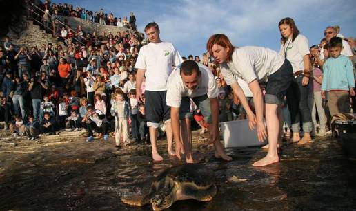 Pula: Magdalena, Leonardo i Drago ozdravili i zaplivali