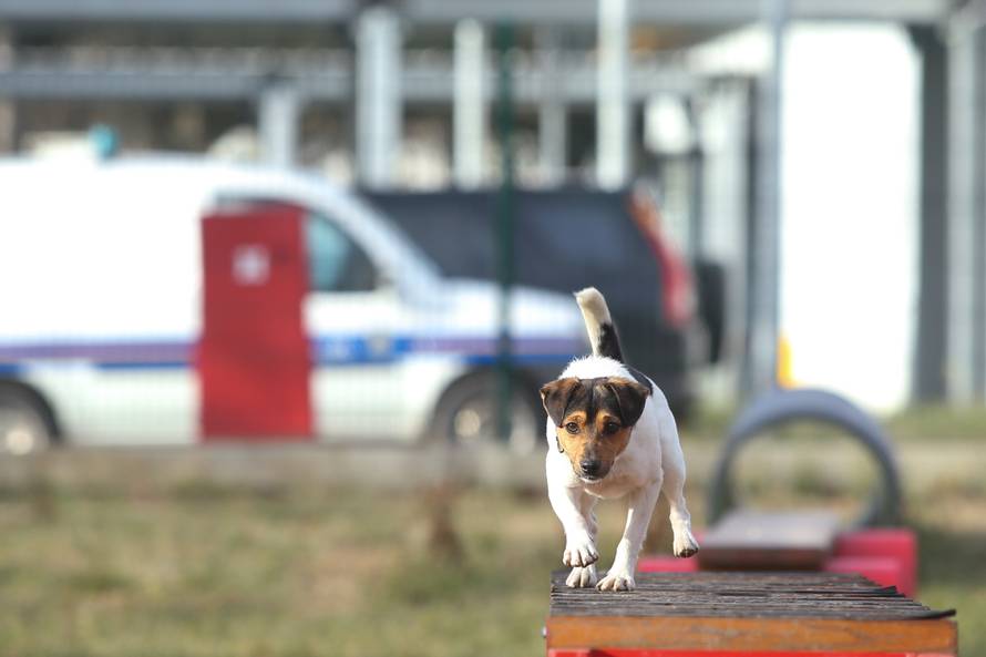 'Bio sam skitnica, a sada sam superpolicajac i šnjofam drogu'