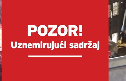 Šokantne snimke zlostavljanja životinja u hrvatskim lukama