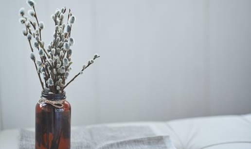 Cica-mace su stigle! Evo kako s njima stvoriti cvjetnu čaroliju