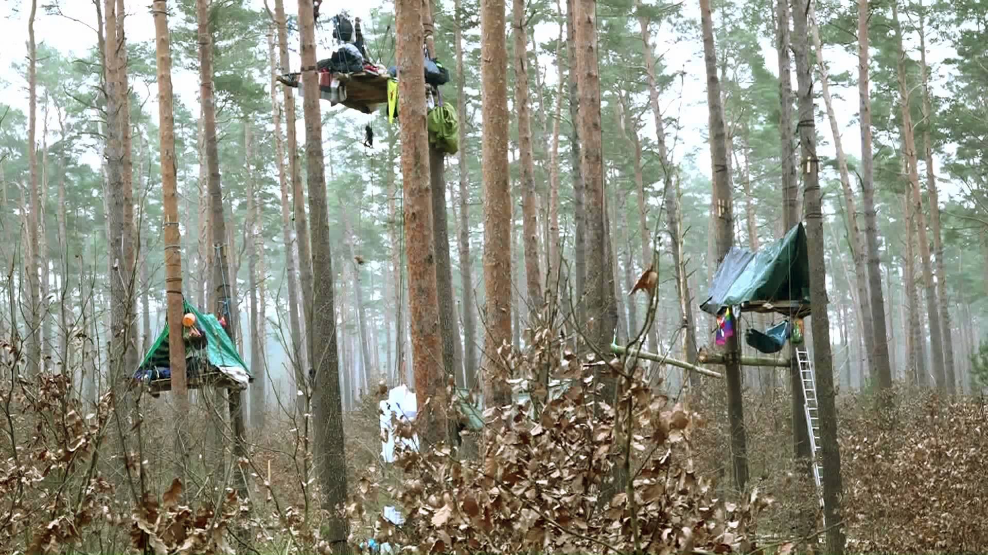 Tree houses protest