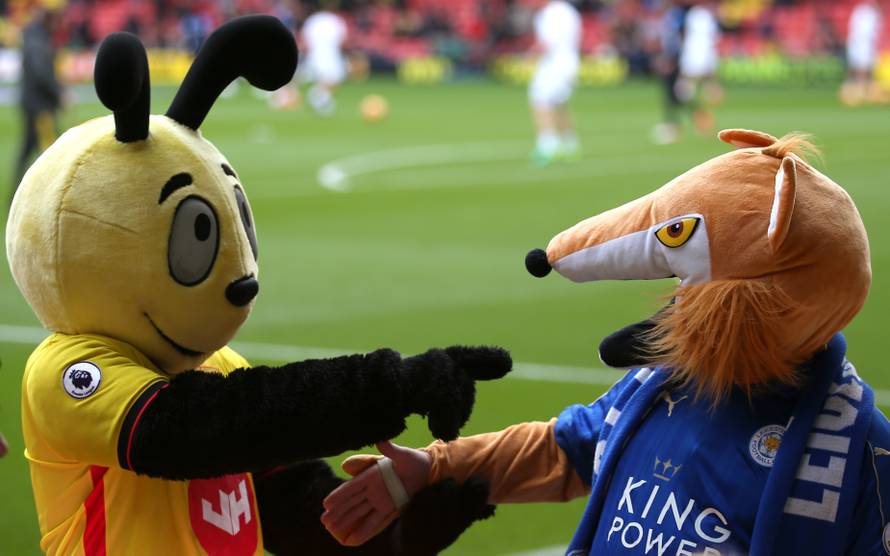 Watford v Leicester City - Premier League - Vicarage Road
