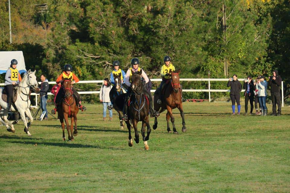 Završnica Croatia Cupa u daljinskom jahanju u Barbanu: "20 godina Endurancea u HR"