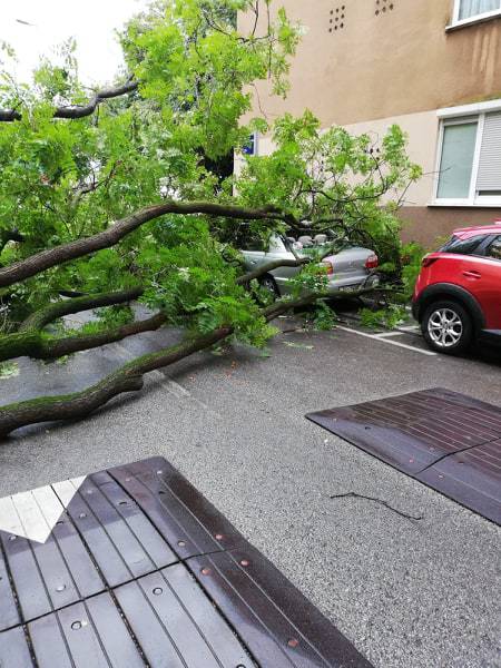 Nevrijeme u Zagrebu: Na auto palo stablo, blokiralo je i ulicu