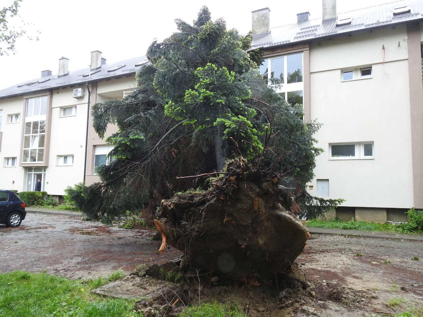 Strašno nevrijeme poharalo i Koprivnicu: Vjetar čupao i lomio stabla, nastala ogromna šteta