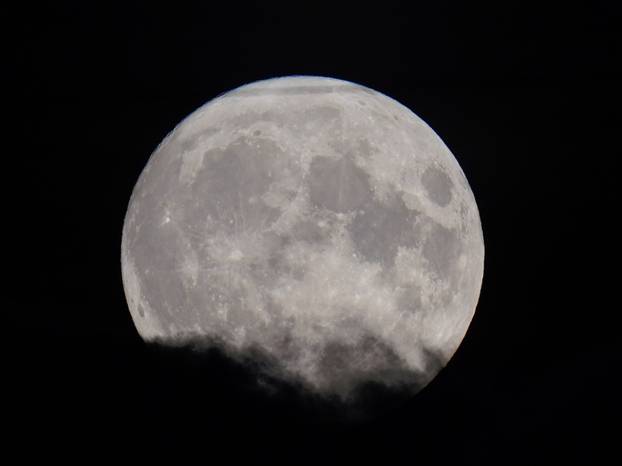 Blue Moon