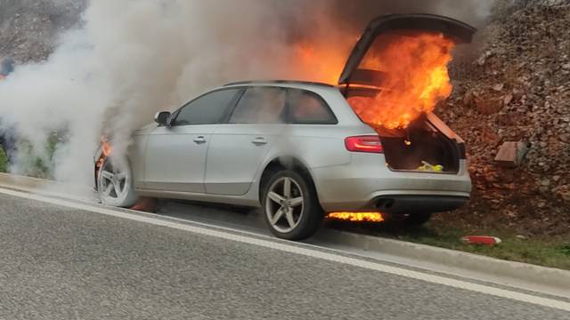 VIDEO Izgorio auto na ulasku u Pulu, vatrogasci ugasili požar