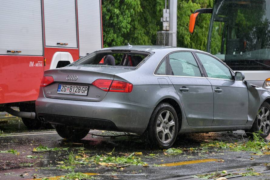 Zagreb: Palo stablo na Maksimirskoj, blokiran promet, vatrogasci na terenu