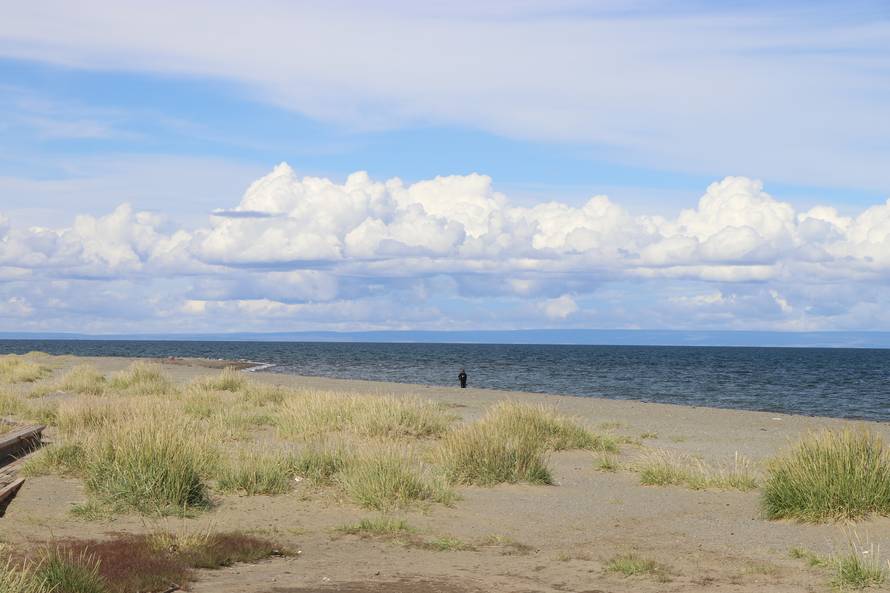 Vjetar nemilice dere, psi šeću i centrom, a napojnicu traže svi