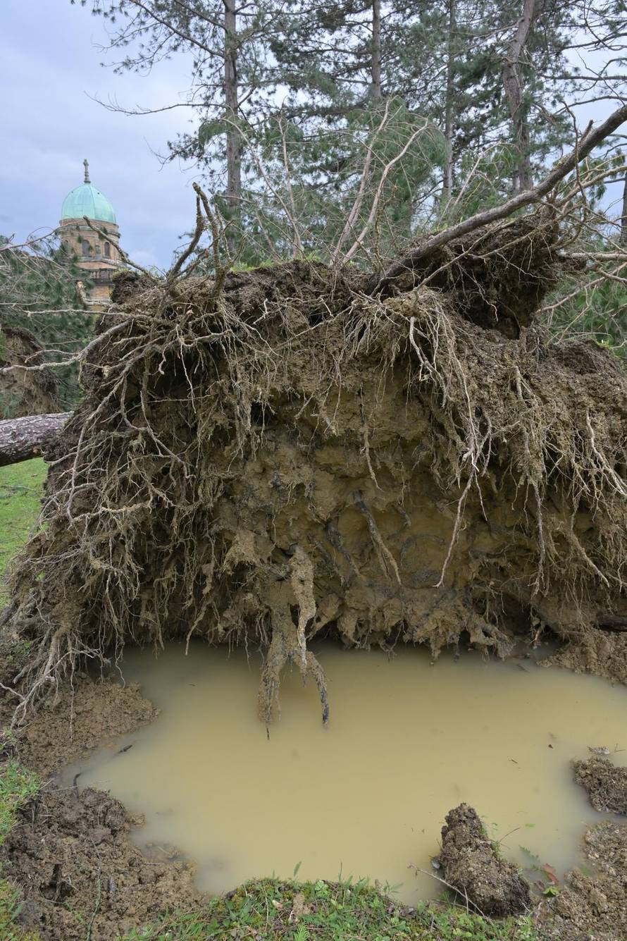 Zagreb: U nevremenu teško  oštećeno gradsko groblje Mirogoj
