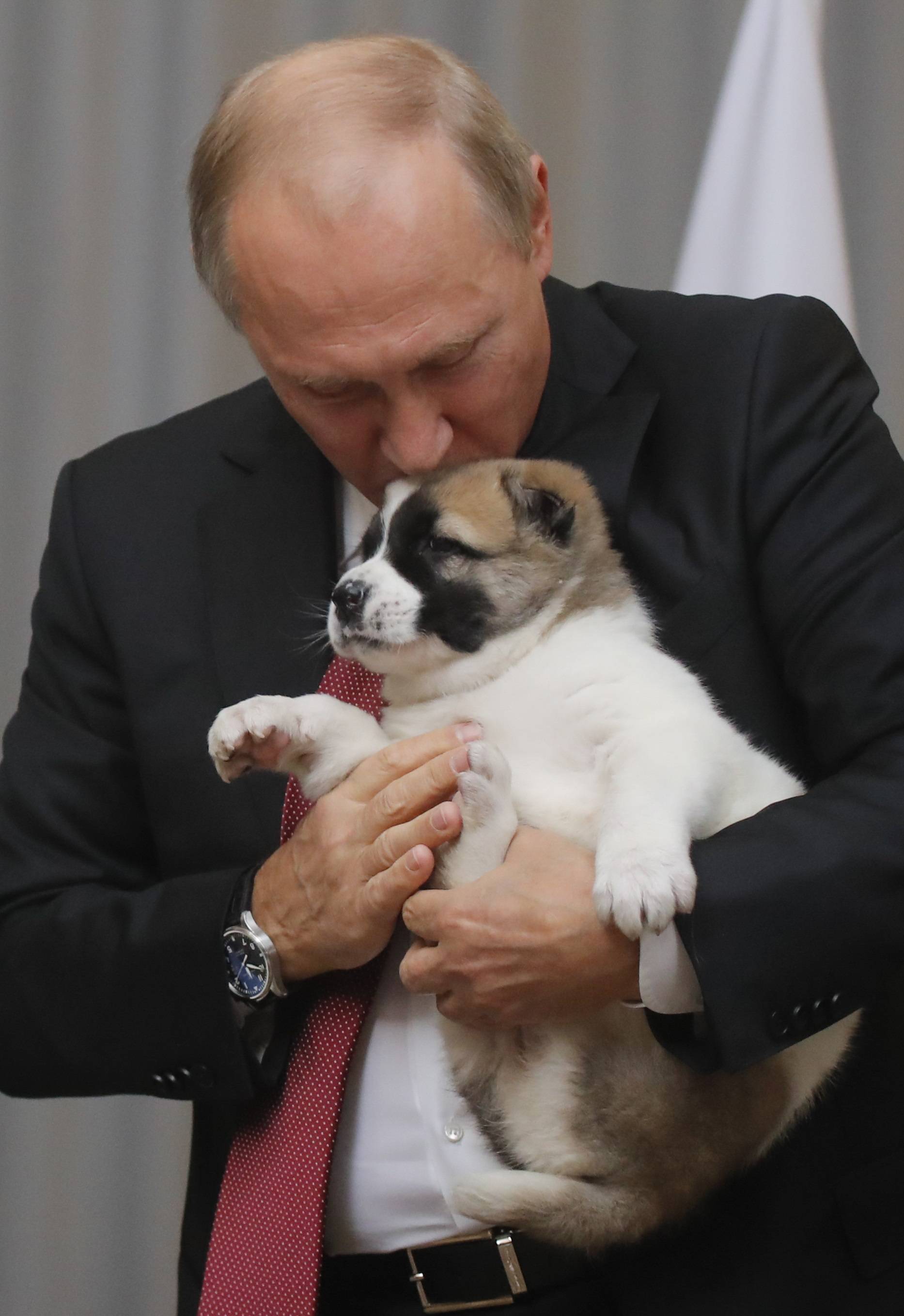 Russian President Putin kisses a Turkmen shepherd dog presented by Turkmenistan's President Berdimuhamedov during a meeting in Sochi