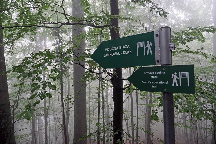 Jeste li čuli za Plemićku rutu? Uvući će vas u jednu posebnu priču o  Slavoniji i Podravini...