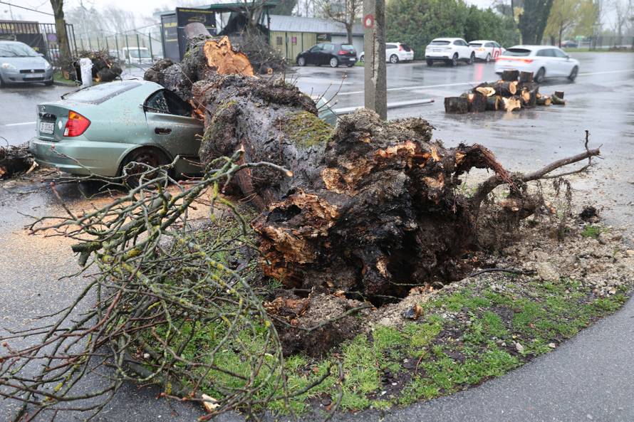 Zagreb: Nevrijeme srušilo stablo koje  je palo na automobil 
