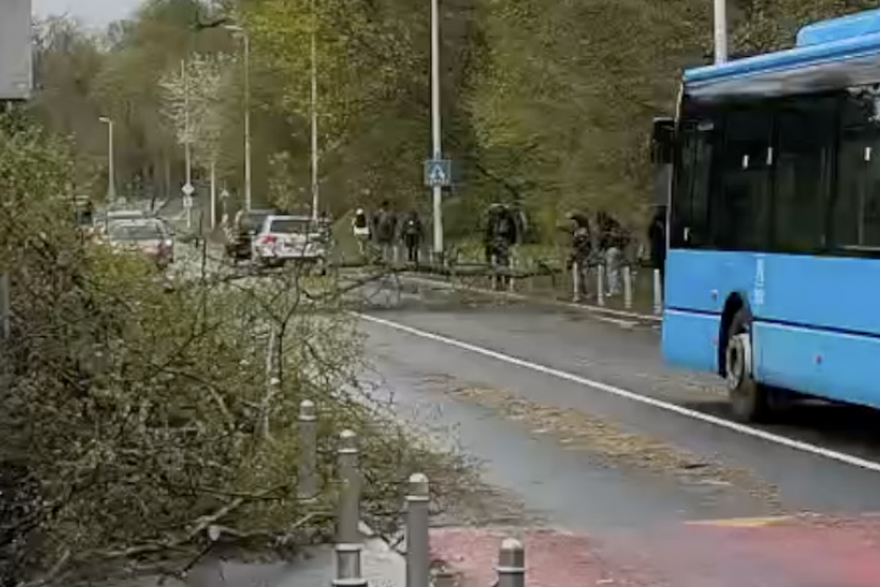 Stablo blokira promet