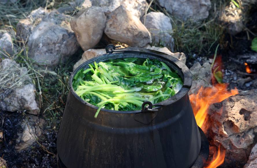 Vodice:Tradicionalni prvosvibanjski piknik u Rakitnici,spremanje divljeg zelja i pulente.