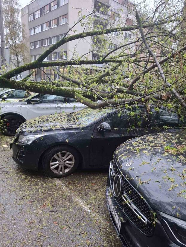 FOTO Apokalipsa u Zagrebu: Stabla drobila automobile, izdano novo upozorenje!