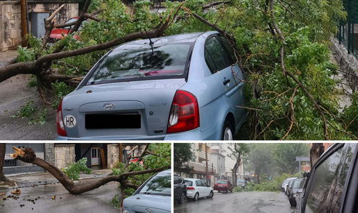 Udari vjetra lomili su grane na Marjanu, dio stabla pao na auto