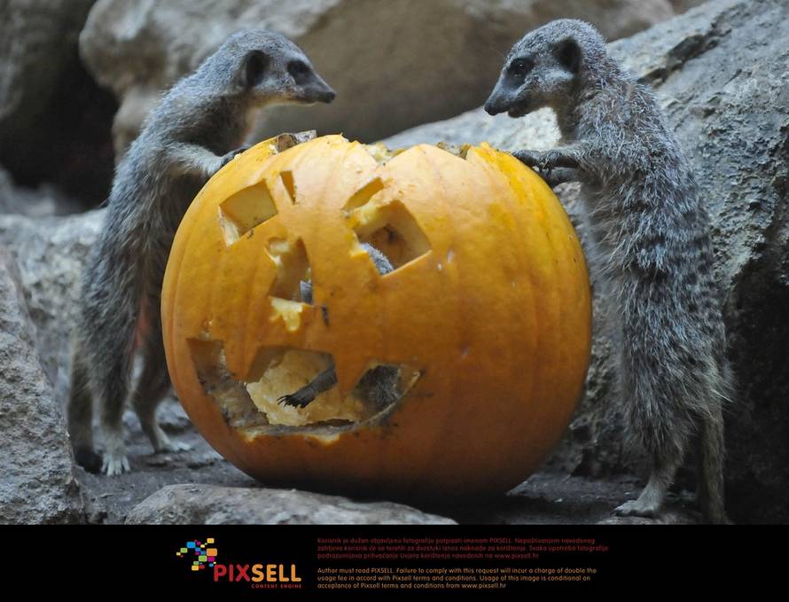 Pixsell