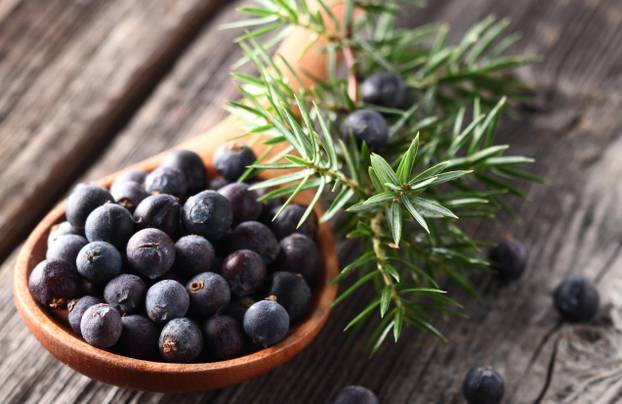 Recepti za 25 čajeva koji mogu pomoći kod mršavljenja, migrena, jačaju imunitet...