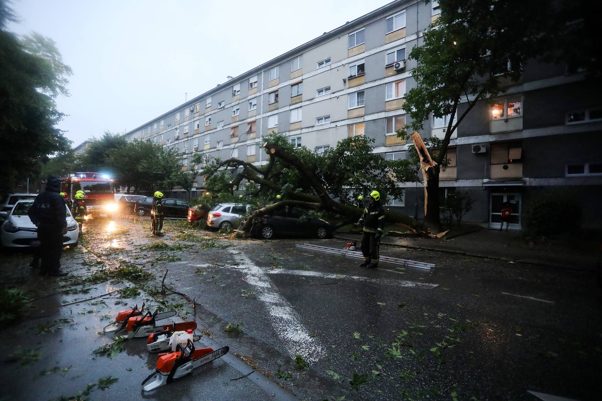 Zagreb: Na parkirane automobile u Trnskom srušilo se stablo