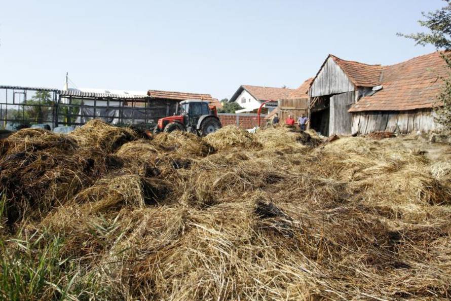 Vjeran Žganec-Rogulja/Pixsell