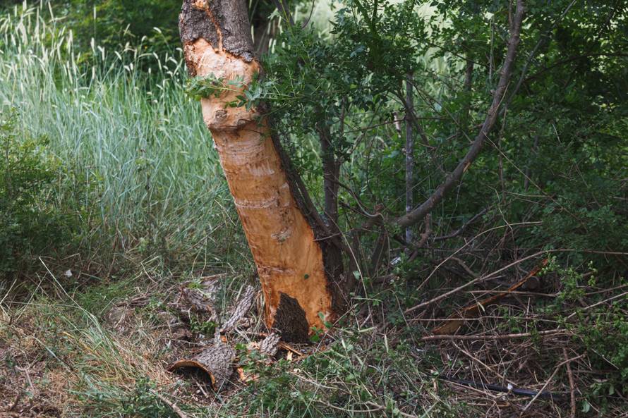 Teška prometna nesreća blizu Zadra: Poginulo je dvoje ljudi...