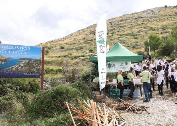 Grebaštica: Više od tri stotine volontera i izviđača, sudjeluje u najvećoj europskoj volonterskoj akciji pošumljavanja požarišta