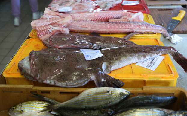 &Scaron;ibenik: Raznovrsna i bogata ponuda na &scaron;ibenskoj ribarnici