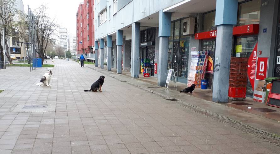 'Pa naš ministar je Dr. Dolittle! U Španskom ga slušaju i psi'