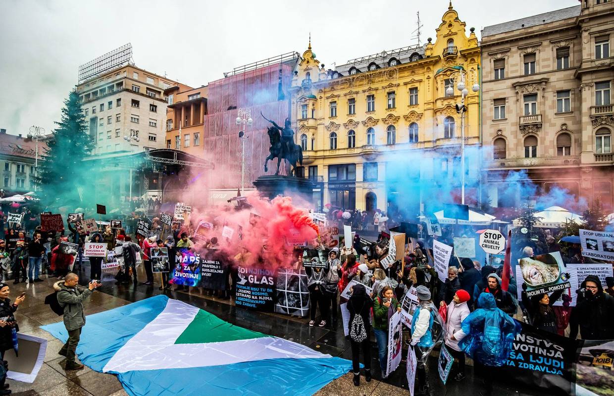 Veganske zastave po Zagrebu: 'Spasite životinje i planet'