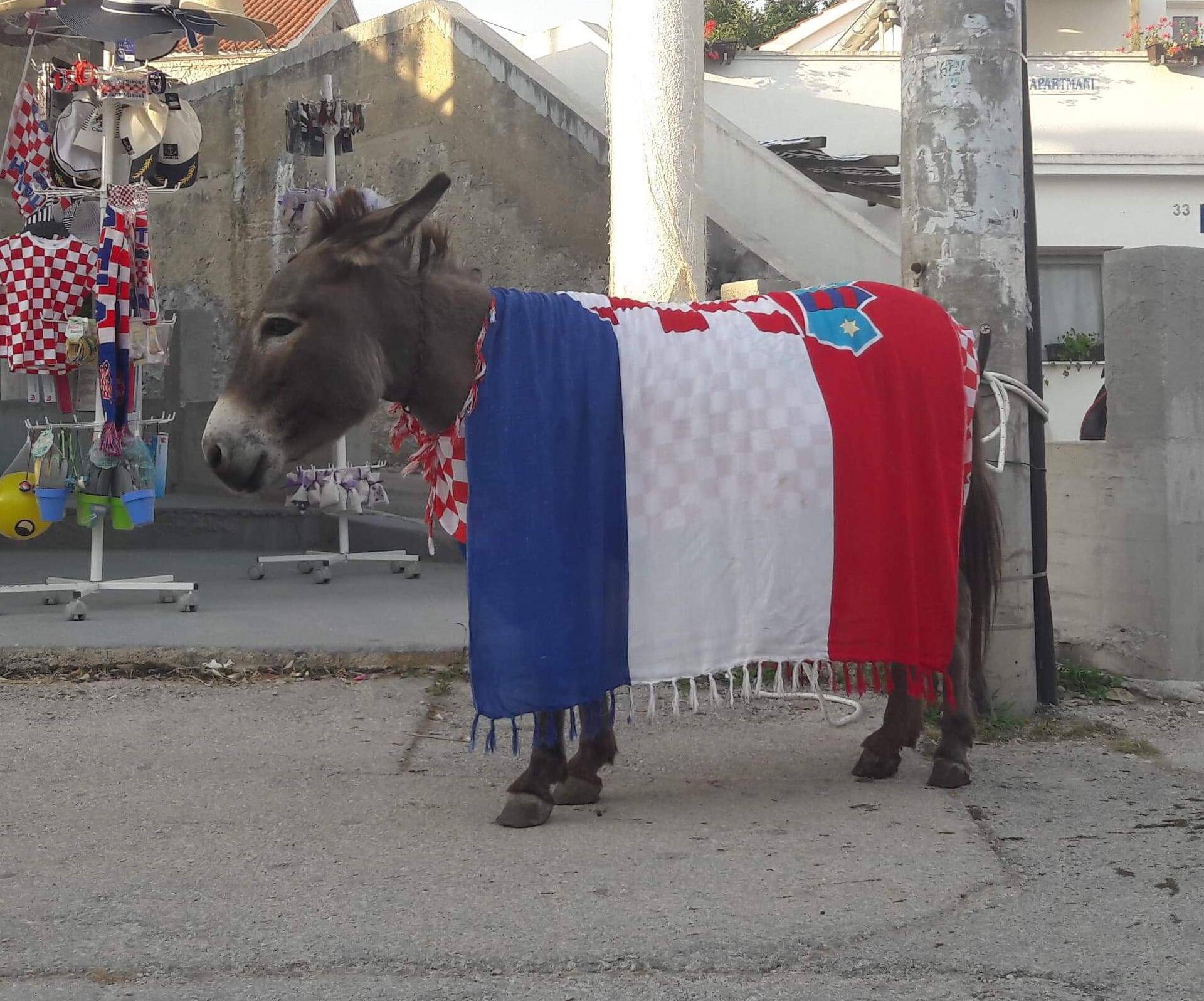 I magarica slavi: U kafiću ju ukrasili hrvatskom zastavom