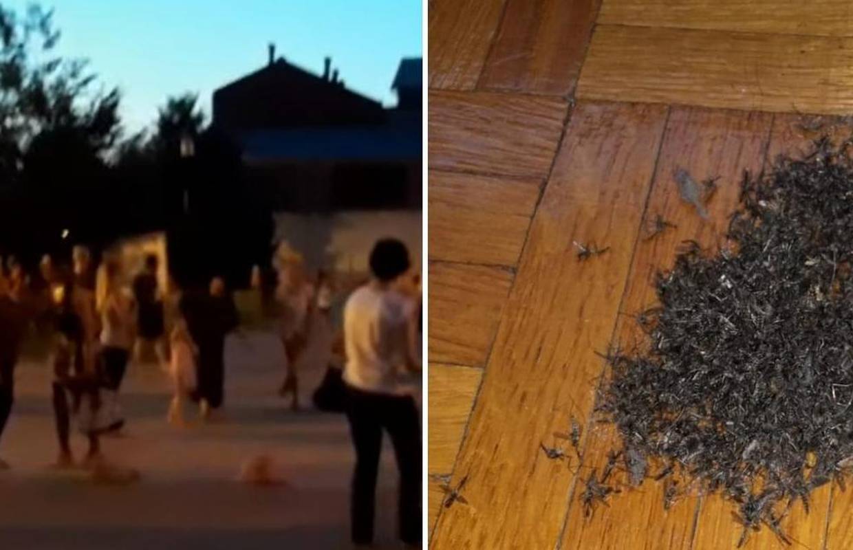 'Ne možemo izlaziti, zatvoreni smo u kuću. Najgore je djeci...'