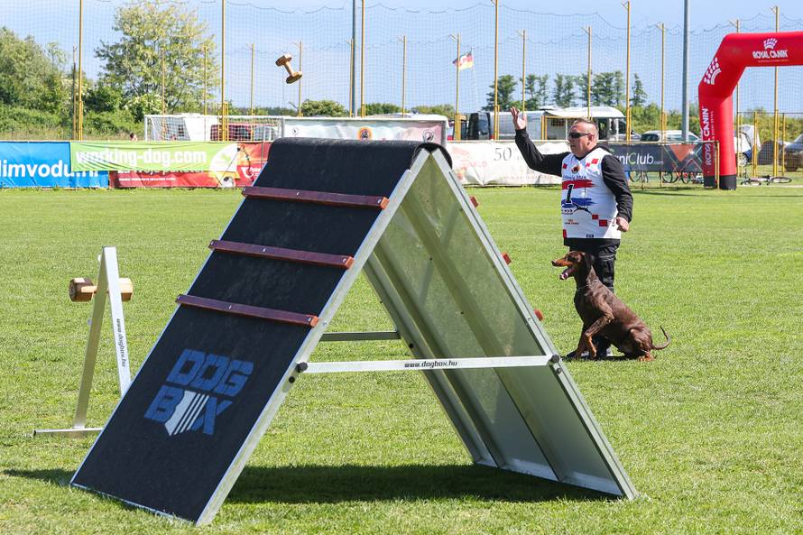 Međunarodna izložba natjecanje dobermana u Kurilovcu