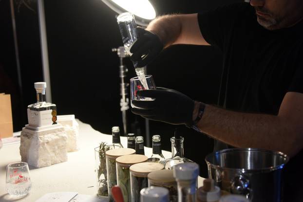 Rovinj: Svečano otvaranje 4. izdanja GinIstre