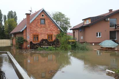 Poplavljeni Brodarci uz rijeku Kupu, ljudi spašavaju životinje