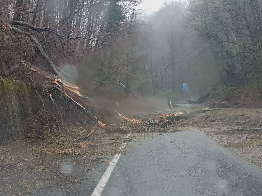 FOTO Evo kako izgleda Sljeme nakon snažnog nevremena