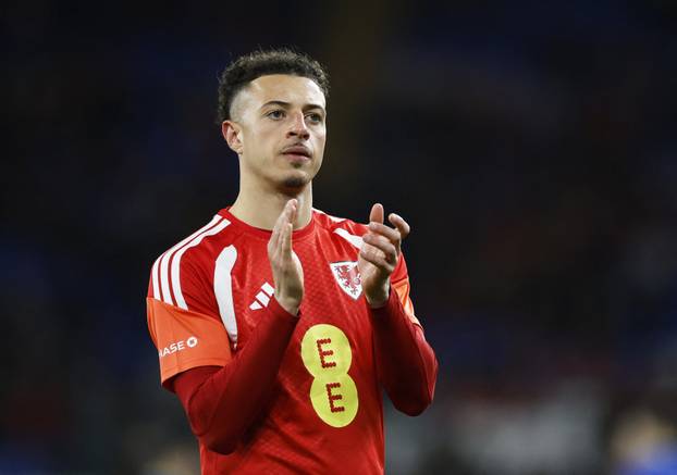 FIFA World Cup - UEFA Qualifiers - Semi Final - Wales v Bosnia and Herzegovina