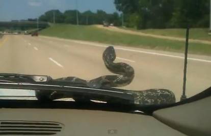 Dok je vozila autocestom na staklo joj je izmigoljila zmija