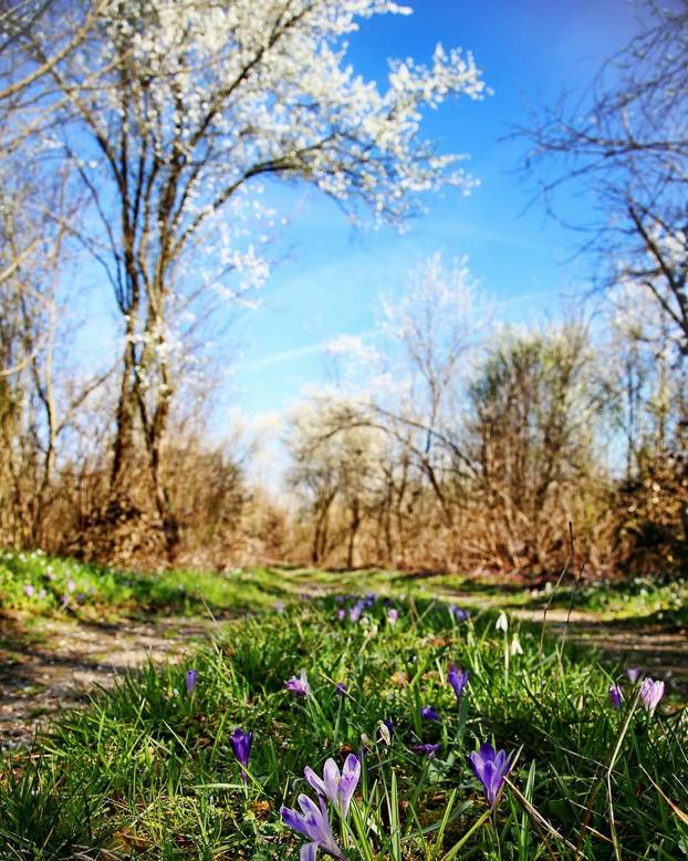 Najljepše biciklističke staze u Hrvatskoj - na kopnu i uz more
