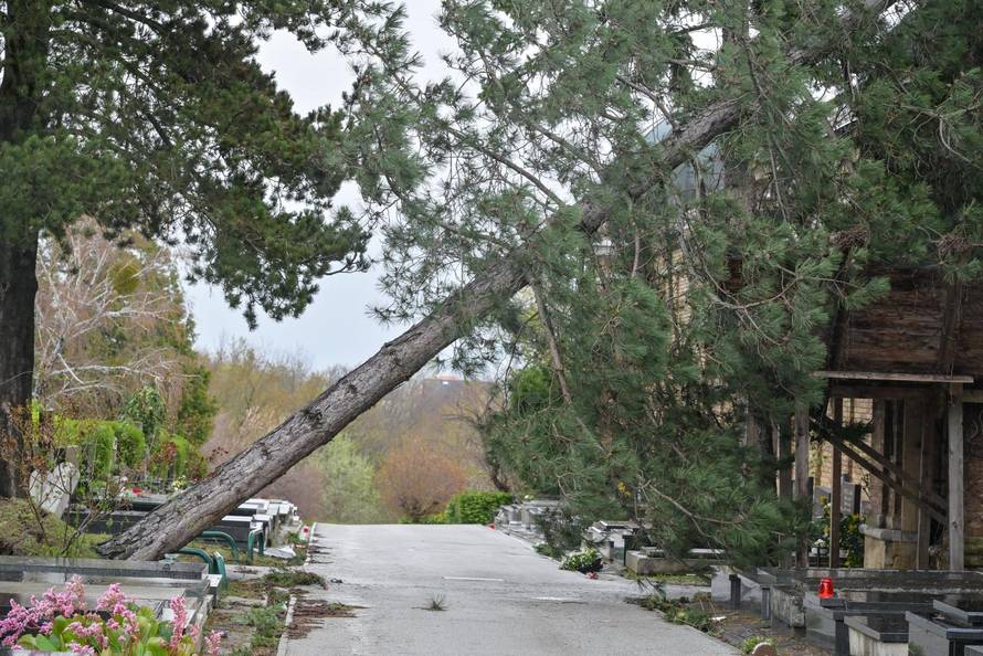 Zagreb: Teško oštećeno gradsko groblje Mirogoj